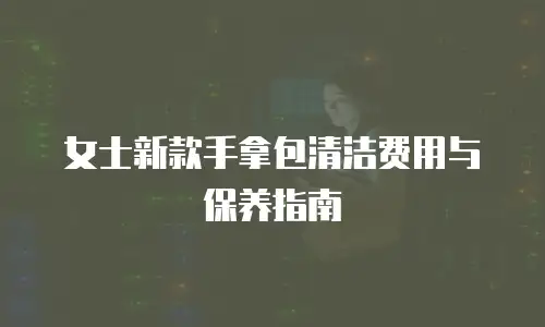 女士新款手拿包清洁费用与保养指南