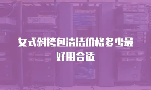 女式斜挎包清洁价格多少最好用合适