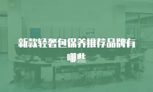 新款轻奢包保养推荐品牌有哪些