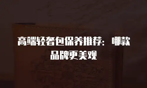 高端轻奢包保养推荐：哪款品牌更美观