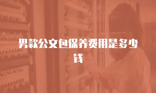 男款公文包保养费用是多少钱