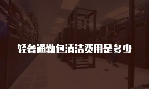 轻奢通勤包清洁费用是多少