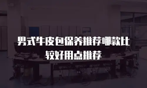 男式牛皮包保养推荐哪款比较好用点推荐