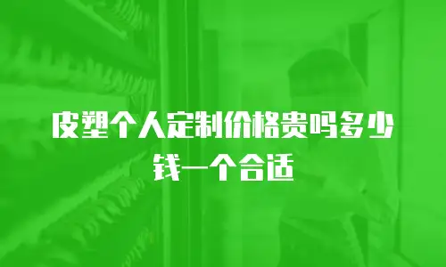 皮塑个人定制价格贵吗多少钱一个合适