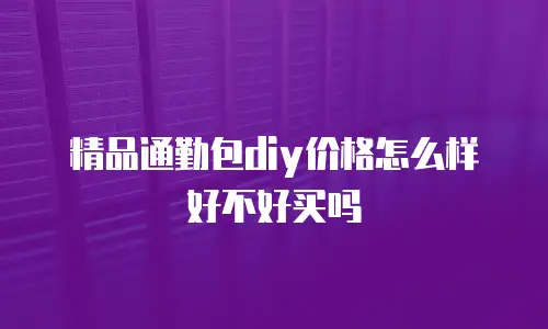 精品通勤包diy价格怎么样好不好买吗