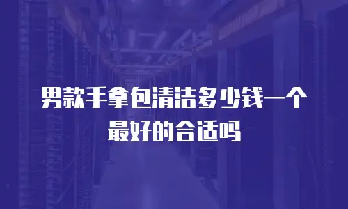 男款手拿包清洁多少钱一个最好的合适吗