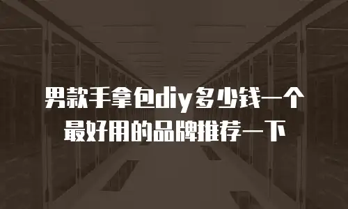 男款手拿包diy多少钱一个最好用的品牌推荐一下