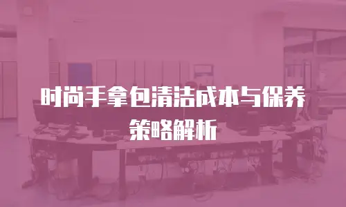 时尚手拿包清洁成本与保养策略解析