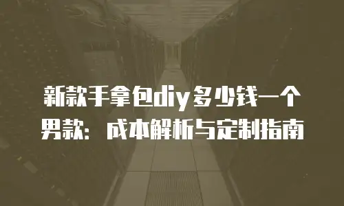 新款手拿包diy多少钱一个男款：成本解析与定制指南