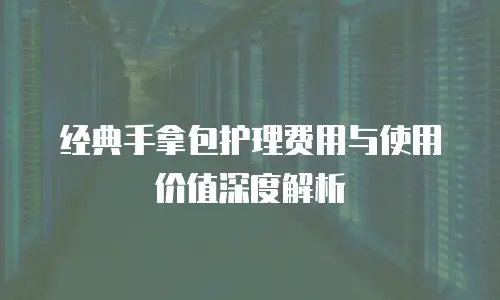 经典手拿包护理费用与使用价值深度解析