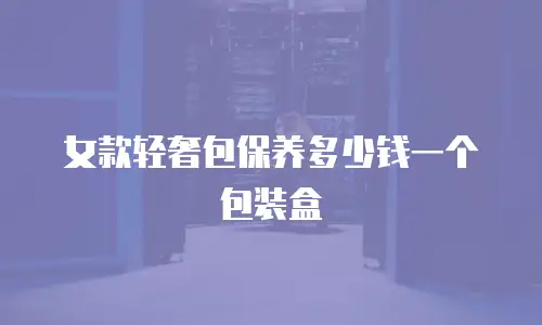 女款轻奢包保养多少钱一个包装盒