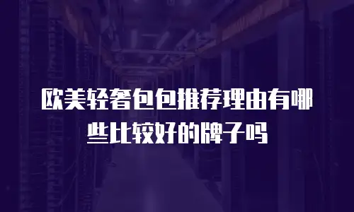 欧美轻奢包包推荐理由有哪些比较好的牌子吗