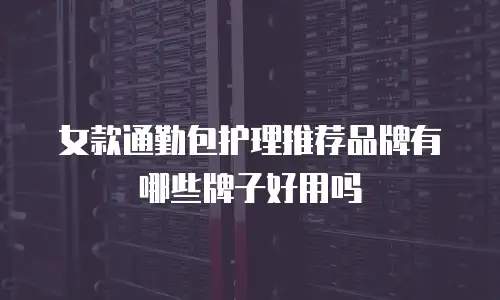 女款通勤包护理推荐品牌有哪些牌子好用吗