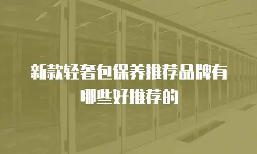 新款轻奢包保养推荐品牌有哪些好推荐的