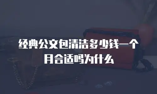 经典公文包清洁多少钱一个月合适吗为什么