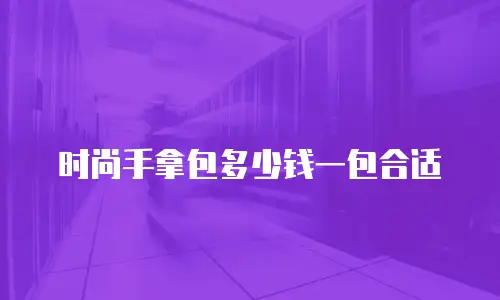 时尚手拿包多少钱一包合适