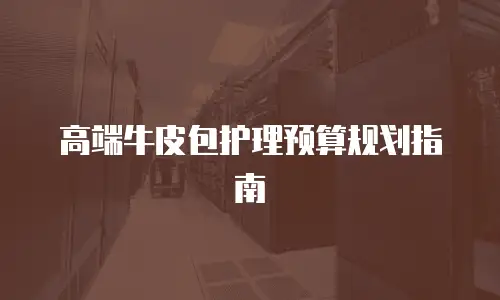 高端牛皮包护理预算规划指南