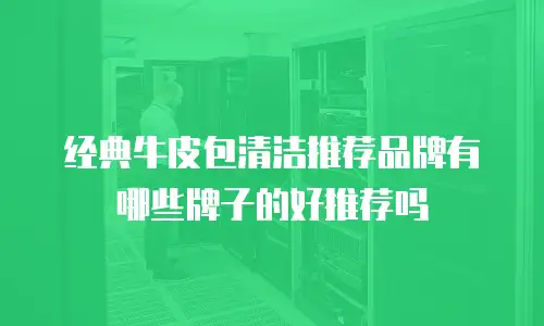 经典牛皮包清洁推荐品牌有哪些牌子的好推荐吗