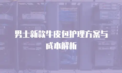 男士新款牛皮包护理方案与成本解析