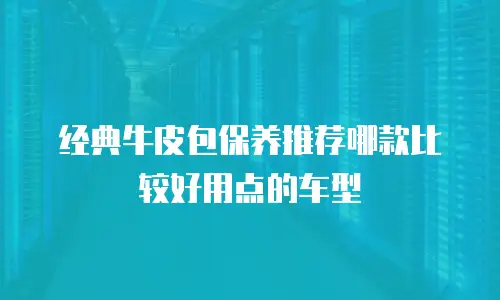 经典牛皮包保养推荐哪款比较好用点的车型