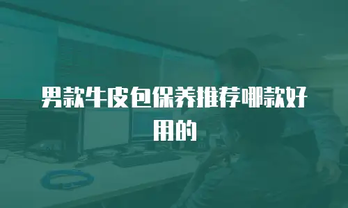 男款牛皮包保养推荐哪款好用的