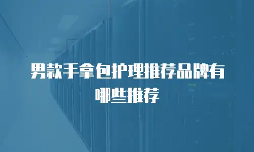 男款手拿包护理推荐品牌有哪些推荐