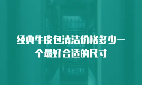 经典牛皮包清洁价格多少一个最好合适的尺寸