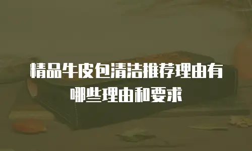 精品牛皮包清洁推荐理由有哪些理由和要求