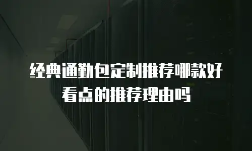 经典通勤包定制推荐哪款好看点的推荐理由吗