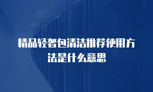 精品轻奢包清洁推荐使用方法是什么意思
