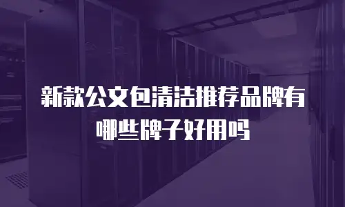 新款公文包清洁推荐品牌有哪些牌子好用吗
