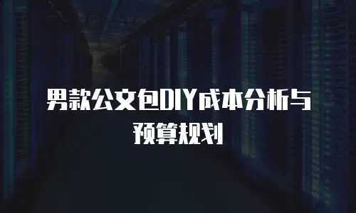 男款公文包DIY成本分析与预算规划