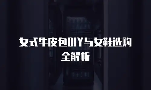 女式牛皮包DIY与女鞋选购全解析