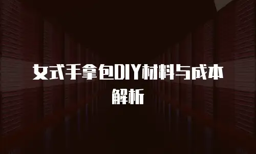 女式手拿包DIY材料与成本解析