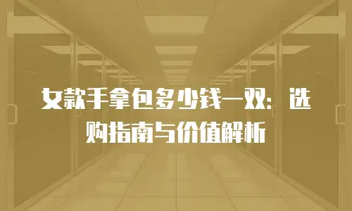 女款手拿包多少钱一双：选购指南与价值解析