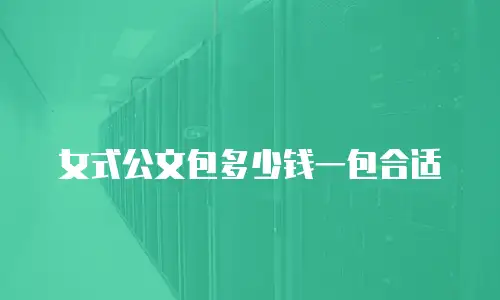 女式公文包多少钱一包合适