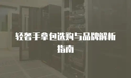轻奢手拿包选购与品牌解析指南