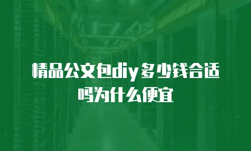 精品公文包diy多少钱合适吗为什么便宜