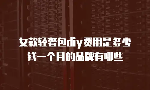 女款轻奢包diy费用是多少钱一个月的品牌有哪些