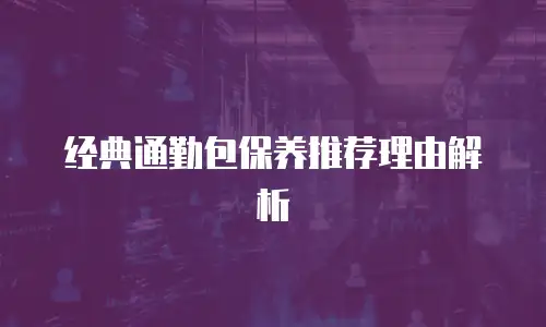 经典通勤包保养推荐理由解析