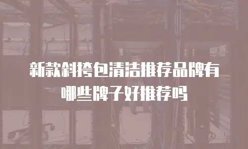 新款斜挎包清洁推荐品牌有哪些牌子好推荐吗