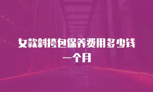 女款斜挎包保养费用多少钱一个月