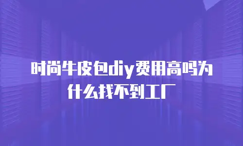 时尚牛皮包diy费用高吗为什么找不到工厂