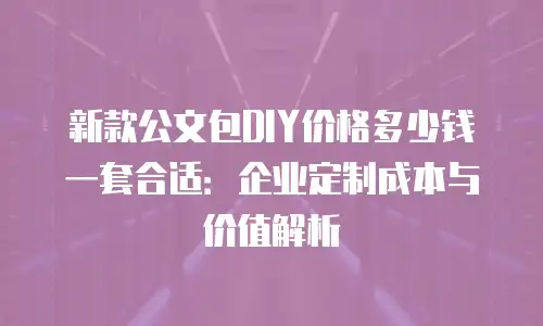 新款公文包DIY价格多少钱一套合适：企业定制成本与价值解析