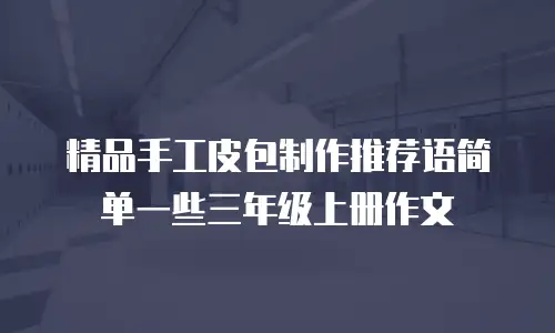 精品手工皮包制作推荐语简单一些三年级上册作文