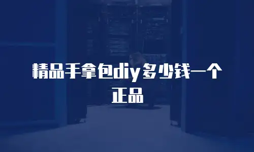 精品手拿包diy多少钱一个正品