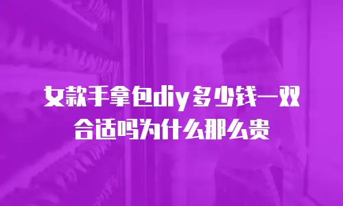 女款手拿包diy多少钱一双合适吗为什么那么贵