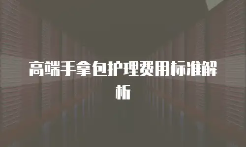 高端手拿包护理费用标准解析
