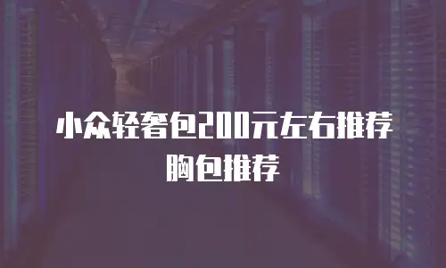 小众轻奢包200元左右推荐胸包推荐