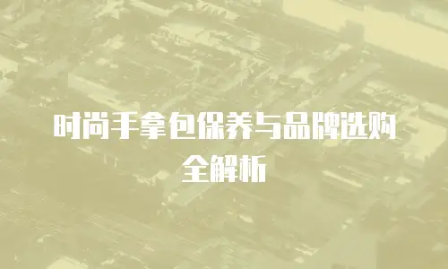 时尚手拿包保养与品牌选购全解析